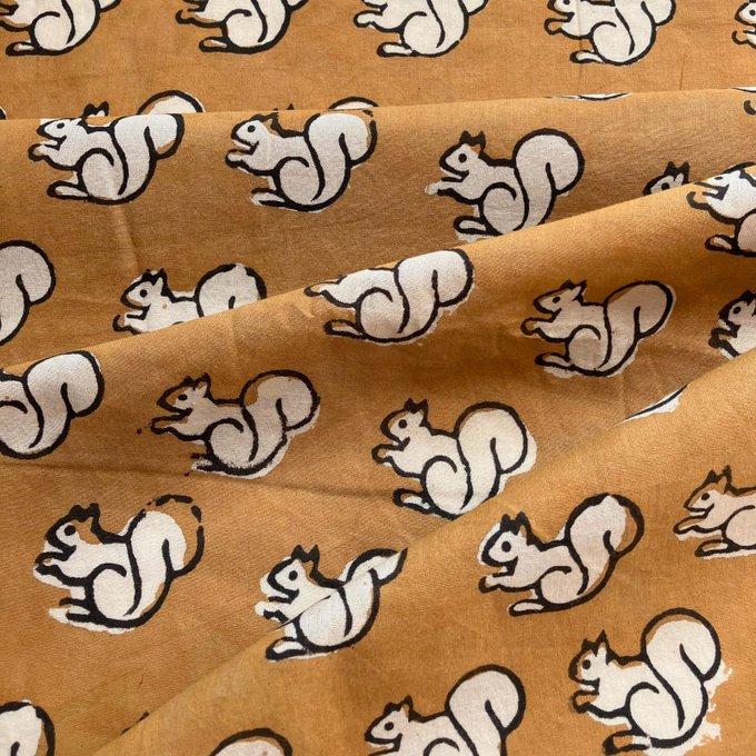 インド ブロックプリント生地 ミニカットクロス5枚セットBagru りす ファブリック はぎれIF0488 | 6枚目